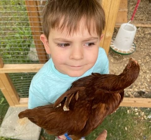 Bub holding a chicken while looking at it distrustfully