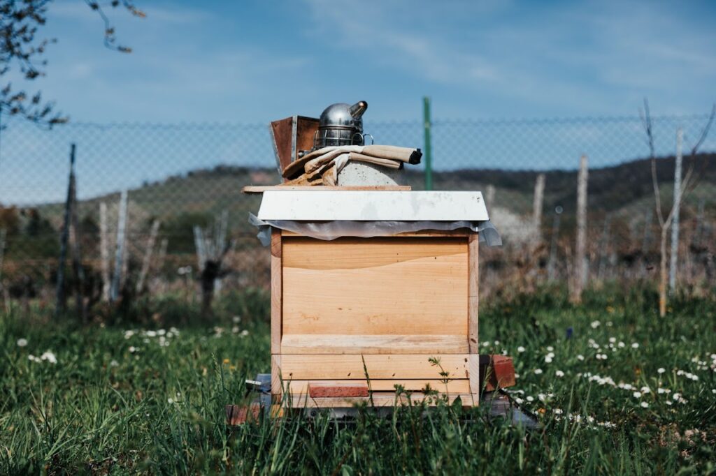 bee smoker and protective gloves on top of a hive box