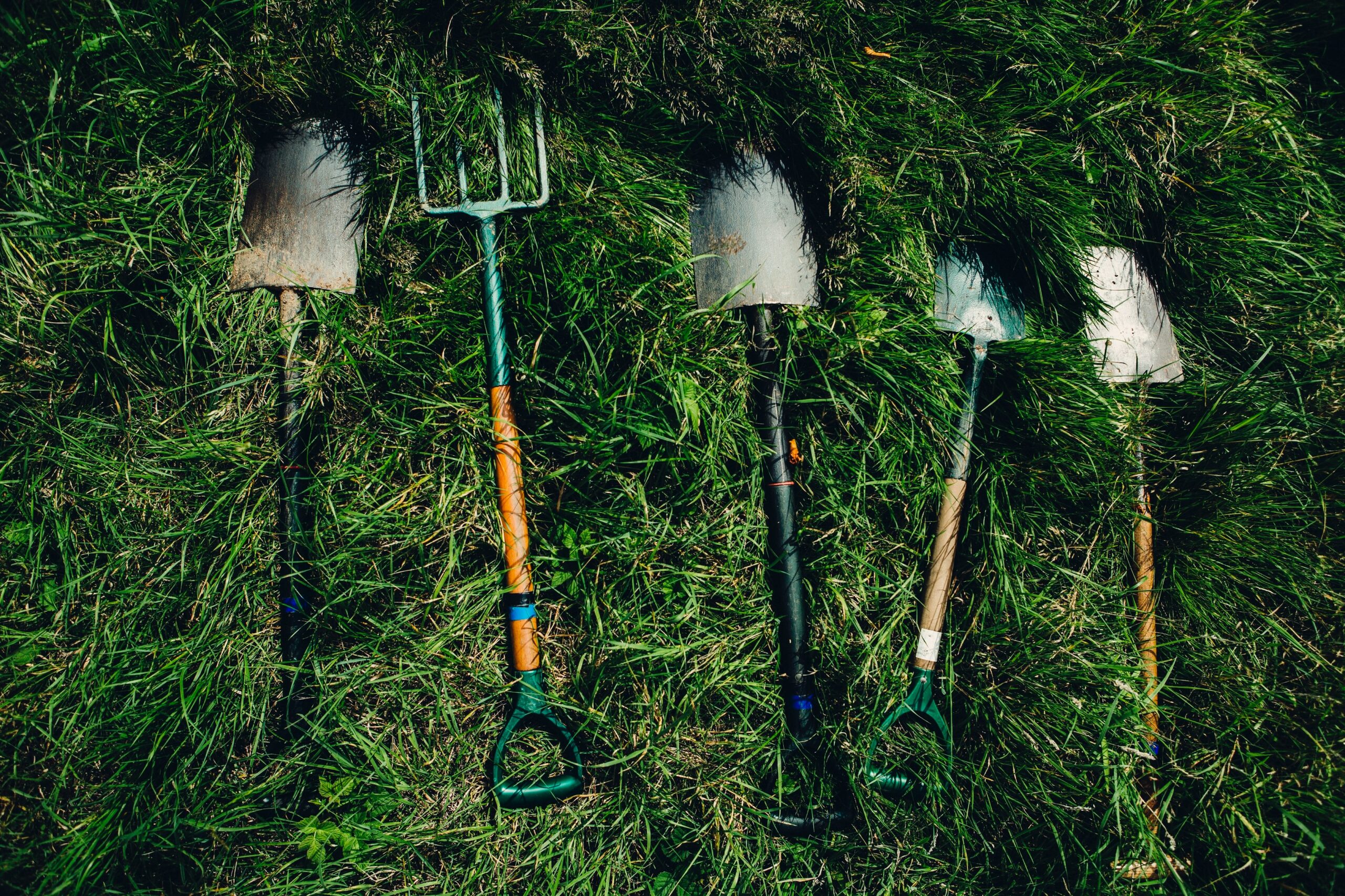 gardening tools, 4 different types of shovels and a pitchfork