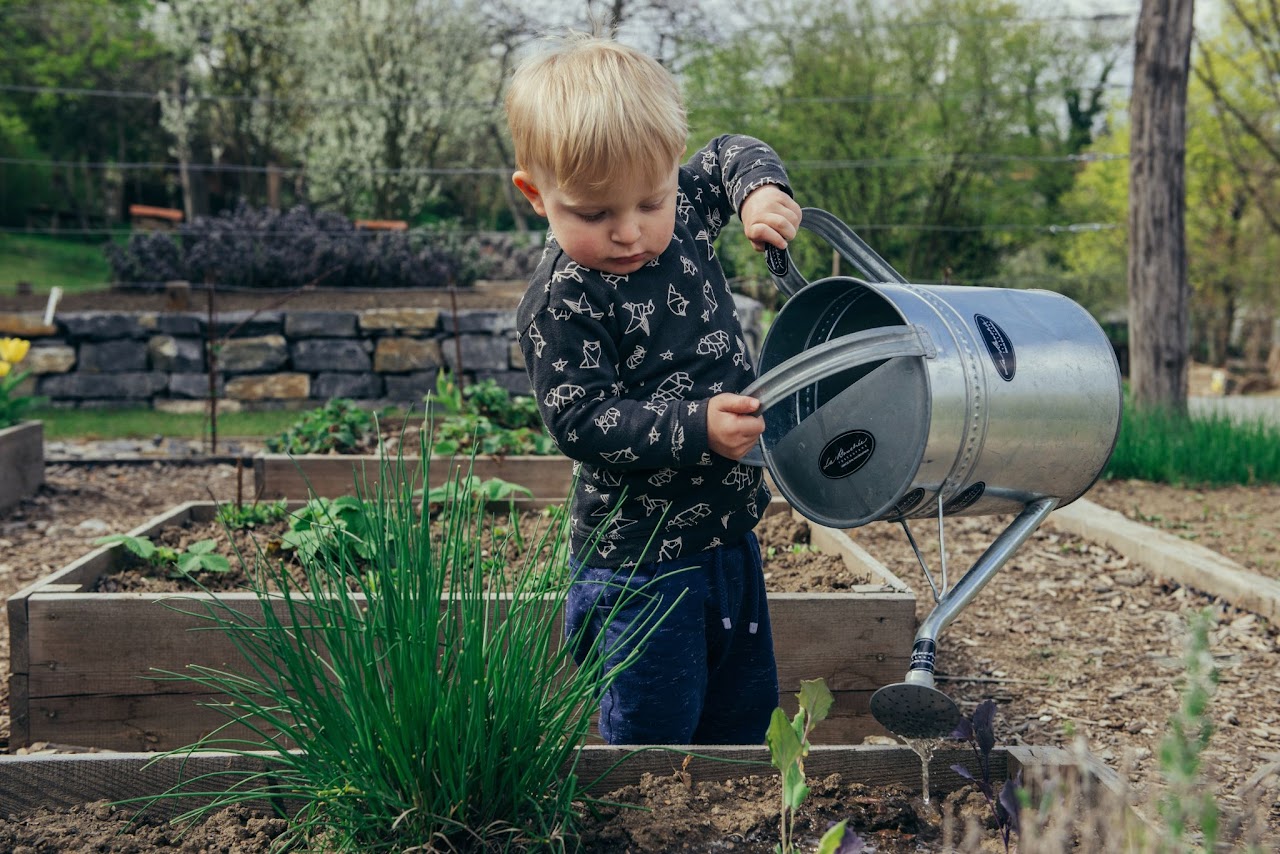 Child Watering a Raised Garden Bed