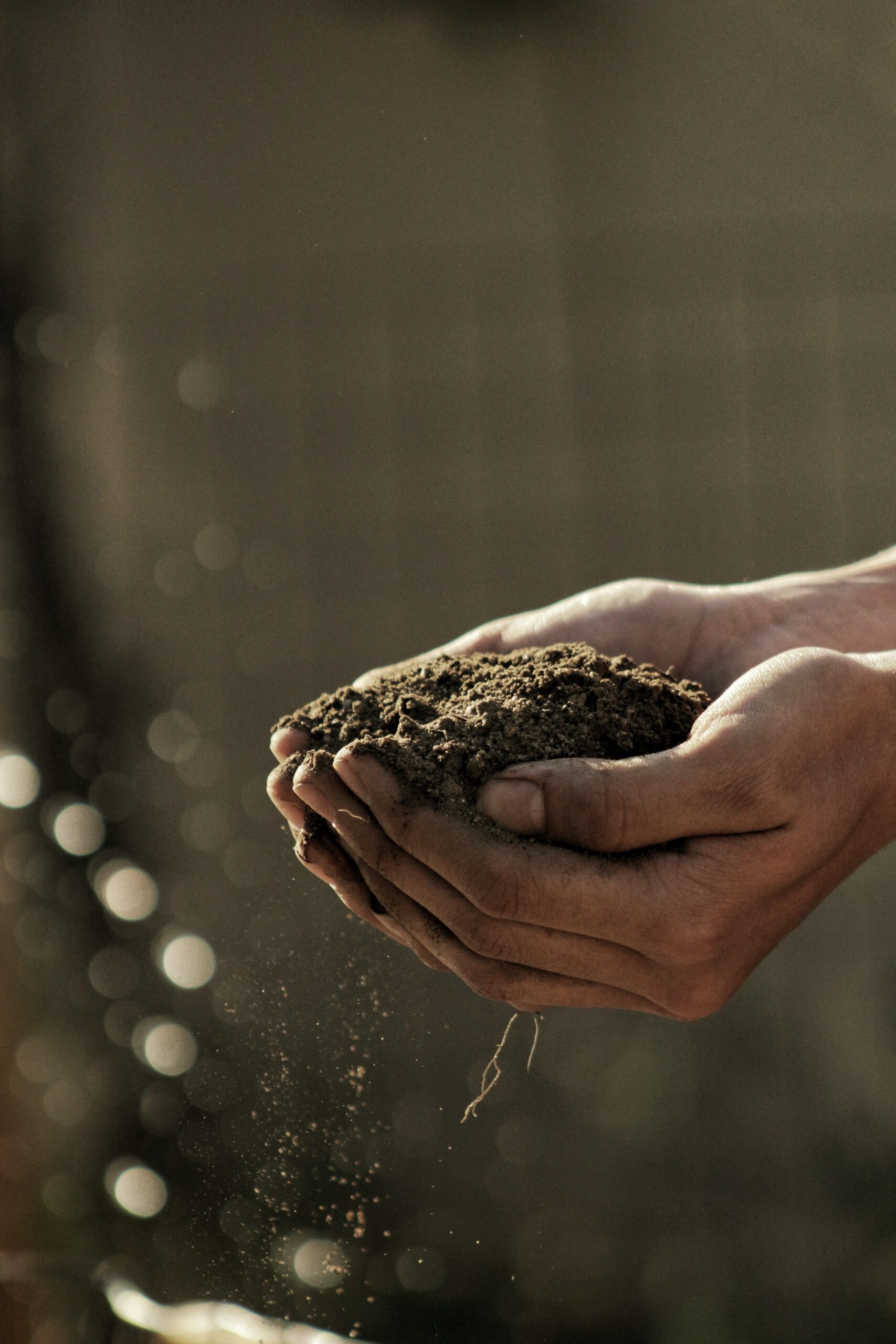 handful of dirt