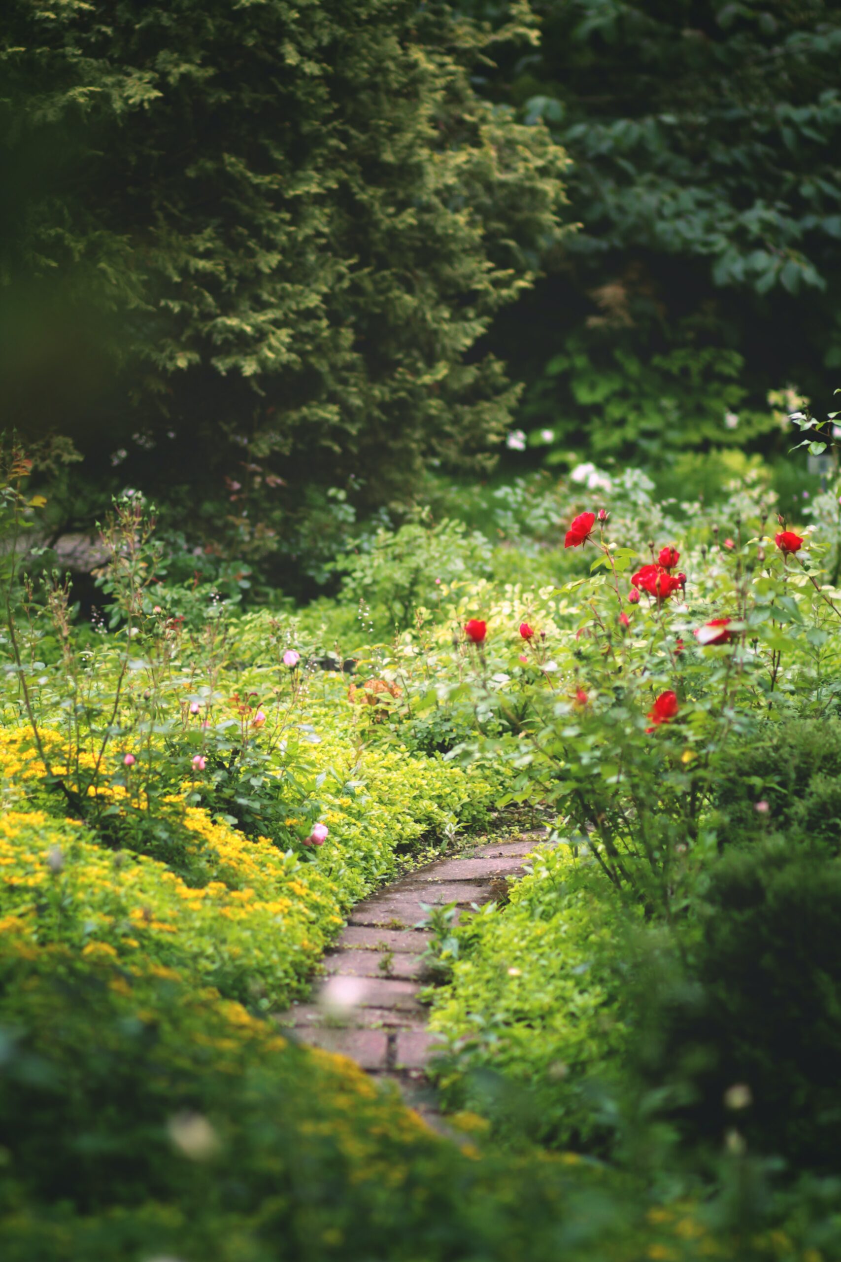 Lush Garden Pathway
