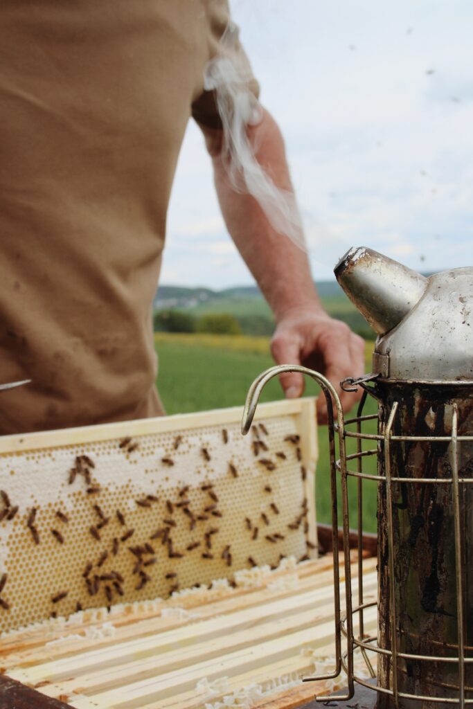 a man removing a hive frame