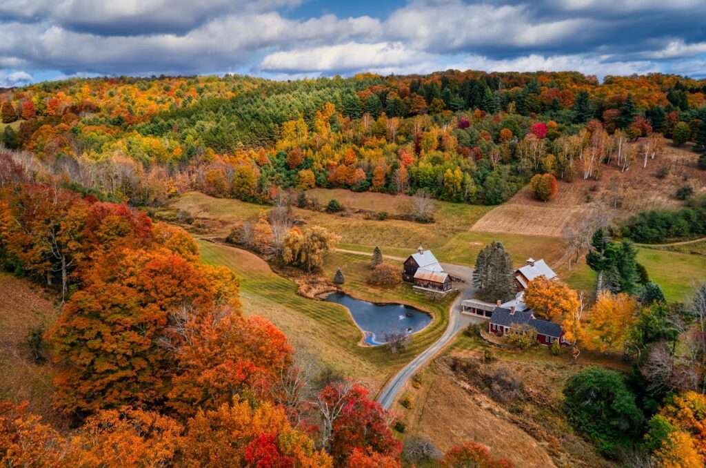 gorgeaous homestead in the middle of a fall forest