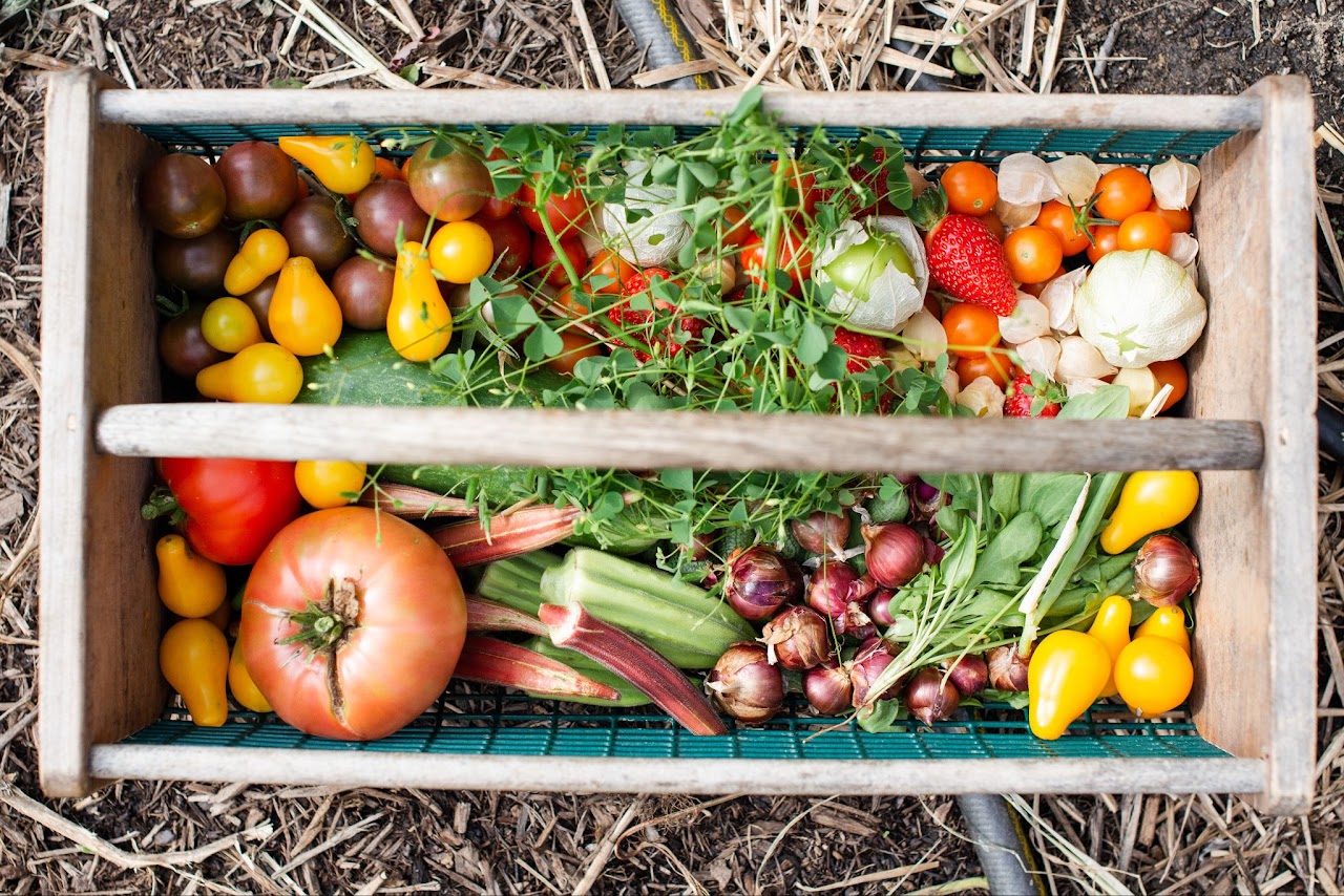 A Wooden Box Full of Fresh Vegetables