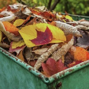 compost greens and browns