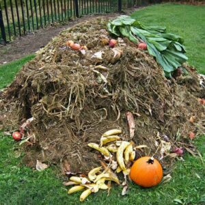 compost pile