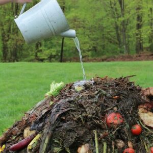 adding water to a compost pile
