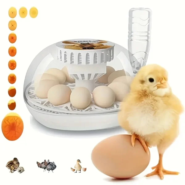 automatic 12 egg incubator with a chick in front of it that is standing on an egg