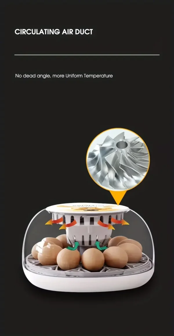 a fan circulates air in the automatic 12 egg incubator
