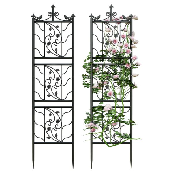 elegant iron trellis 2 pack available at Buzzy Meadows Gardeners Supply