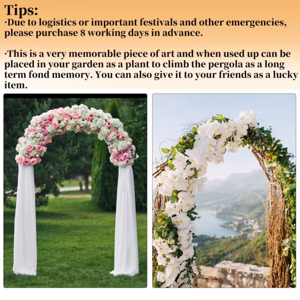 illustrates tips for using garden arch trellis available at Buzzy Meadows Homestead in gardeners supply