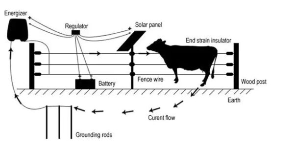 diagram for electric fence energizer available in farm and home supply at Buzzy Meadows Homestead