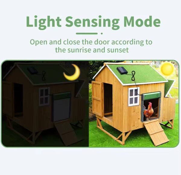 light sensing mode of solar automatic chicken coop door available at Buzzy Meadows Homestead in farm and home supply