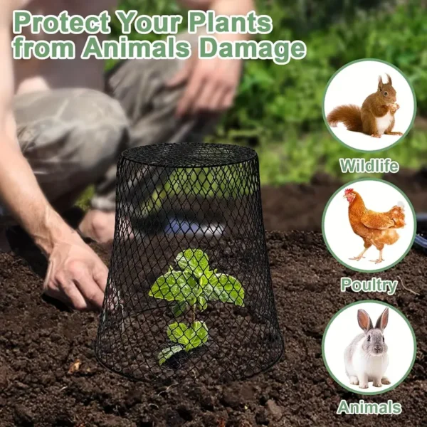 gardener protecting plants from animals with a plant cage for sale at Buzzy Meadows Homestead in gardeners supply