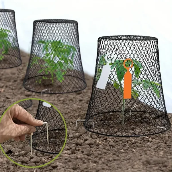 three plant cages for sale at Buzzy Meadows Homestead in gardeners supply