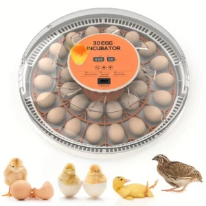Automatic 30 egg incubator with hatched chicks below it