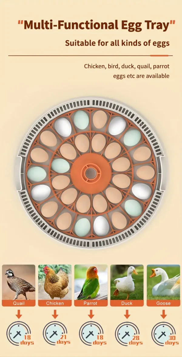 30 egg incubator for chickens, ducks, geese, and quail