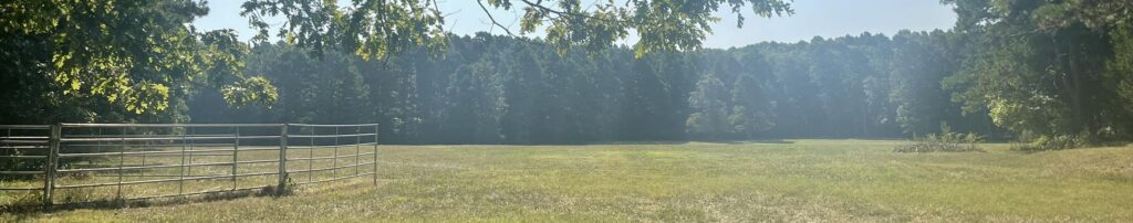 freshly mowed East Meadow at Buzzy Meadows Homestead